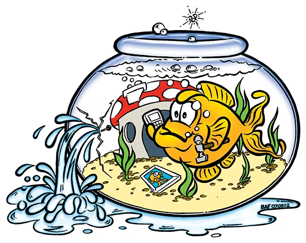Goldfish calling the plumber from his cracked bowl